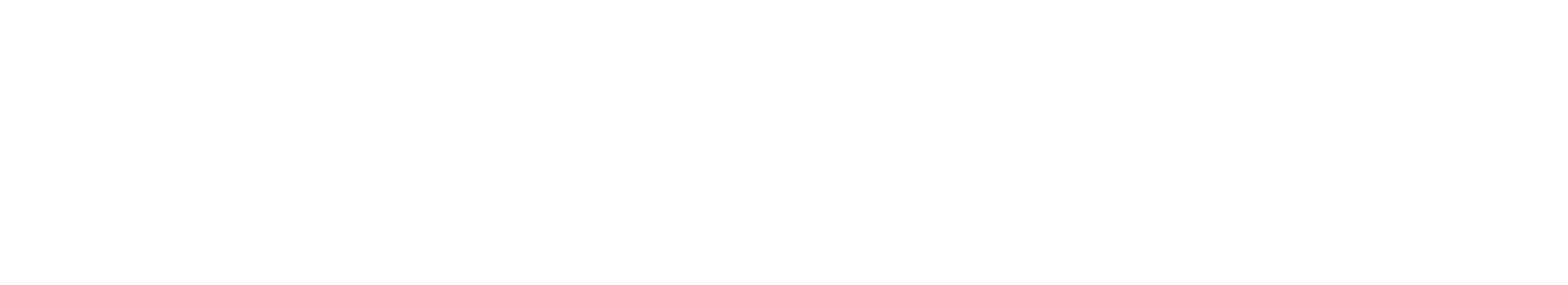 VeeR project logo